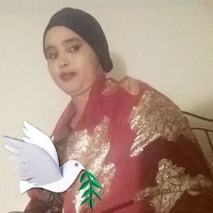 Meet your Posher, Hamdi ali